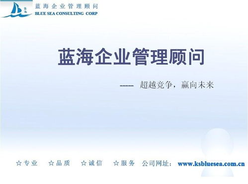 探索藍(lán)海 企業(yè)管理咨詢的創(chuàng)新之路