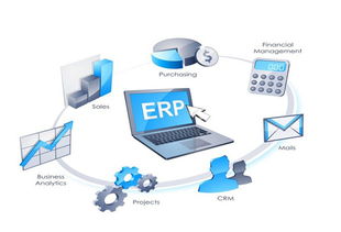 ERP系統(tǒng) 企業(yè)管理的戰(zhàn)略中樞與實(shí)施關(guān)鍵